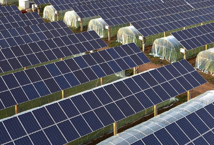 DIALLD BIO ENERGY Central fotovoltaica complementaria a la agricultura