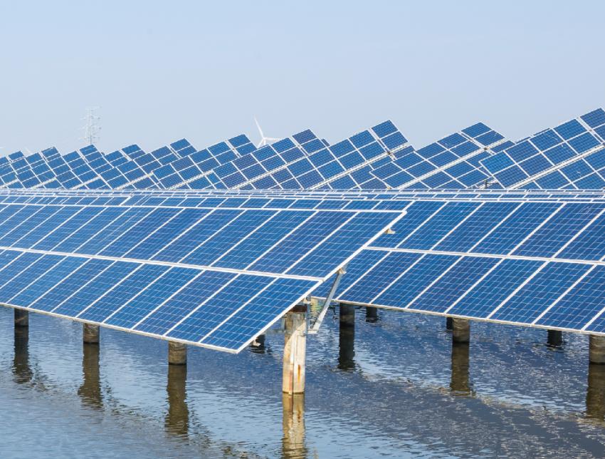 DIALLD BIO ENERGY Central fotovoltaica complementaria a la acuicultura