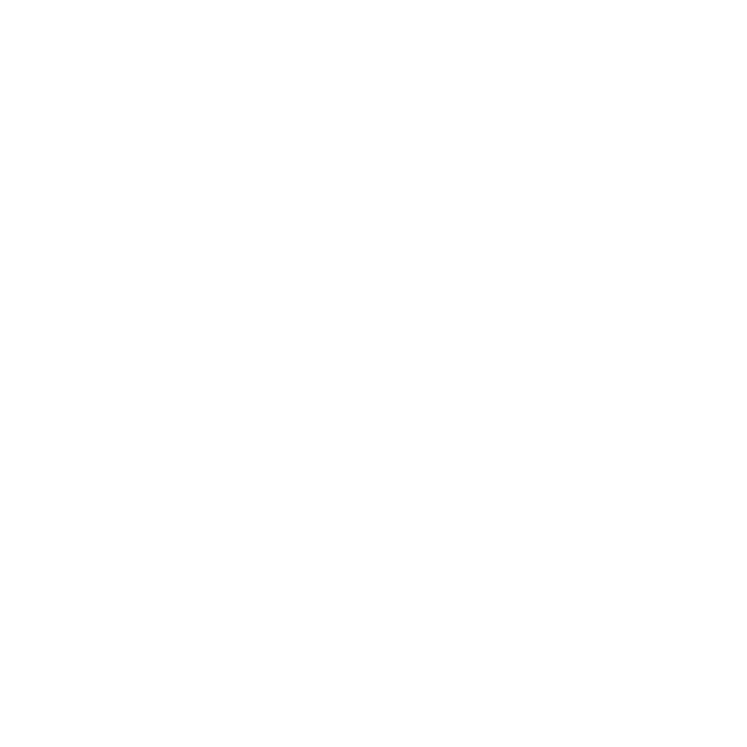 DIALLD BIO ENERGY HOLDING | BUSINESS GROUP